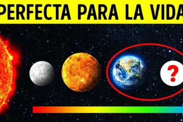 vida en la Tierra