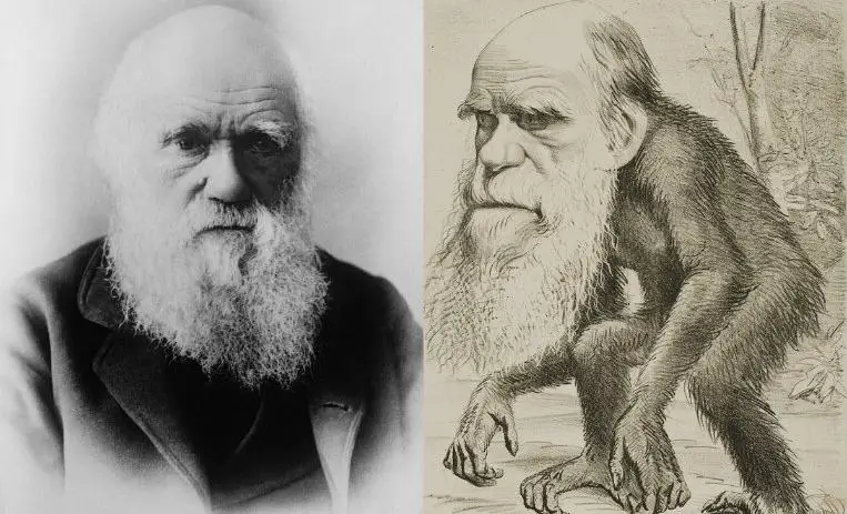 Darwin