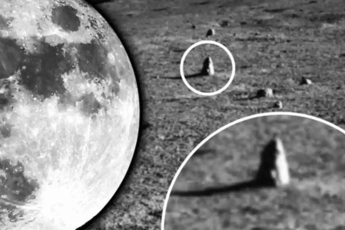 nave espacial japonesa alcanza la órbita lunar y transmite imágenes nunca vistas