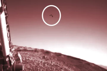 NASA vio un pájaro alienígena en el planeta rojo