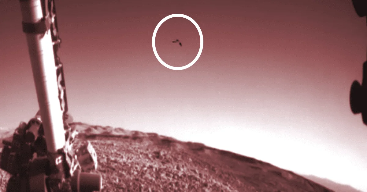 NASA vio un pájaro alienígena en el planeta rojo